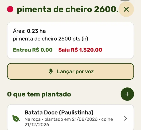 Tela real do app: talhão de pimenta de cheiro, com o botão Lançar por voz